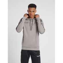 hummel Sport Hoodie hmlAUTHENTIC Poly Hoodie (knitted polyester) with hood grey Men