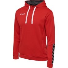 hummel Sport Hoodie hmlAUTHENTIC Poly Hoodie (knitted polyester) with hood red Men