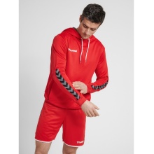 hummel Sport Hoodie hmlAUTHENTIC Poly Hoodie (knitted polyester) with hood red Men