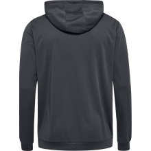 hummel Sport Hoodie hmlAUTHENTIC PL Zip Hoodie (100% recycled Polyester) asphalt grey Men