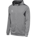 hummel Sport Hoodie hmlAUTHENTIC PL Zip Hoodie (100% recycled Polyester) grey Men