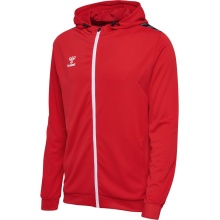 hummel Sport Hoodie hmlAUTHENTIC PL Zip Hoodie (100% recycled Polyester) red Men