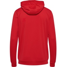 hummel Sport Hoodie hmlAUTHENTIC PL Zip Hoodie (100% recycled Polyester) red Men