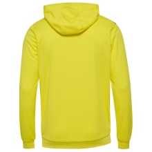 hummel Sport Hoodie hmlAUTHENTIC PL Zip Hoodie (100% recycled Polyester) yellow Men