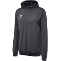 hummel Sport Hoodie hmlAUTHENTIC PL Hoodie (with zip pockets) asphalt grey Men