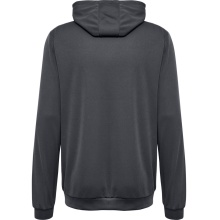 hummel Sport Hoodie hmlAUTHENTIC PL Hoodie (with zip pockets) asphalt grey Men