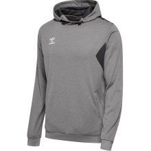 hummel Sport Hoodie hmlAUTHENTIC PL Hoodie (with zip pockets) grey Men