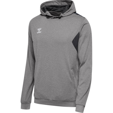 hummel Sport Hoodie hmlAUTHENTIC PL Hoodie (with zip pockets) grey Men