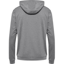 hummel Sport Hoodie hmlAUTHENTIC PL Hoodie (with zip pockets) grey Men