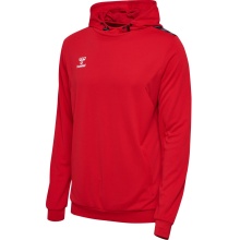 hummel Sport Hoodie hmlAUTHENTIC PL Hoodie (with zip pockets) red Men