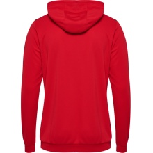 hummel Sport Hoodie hmlAUTHENTIC PL Hoodie (with zip pockets) red Men