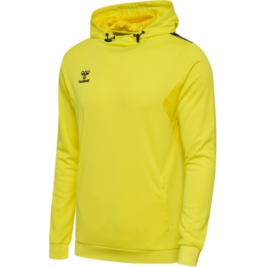 hummel Sport Hoodie hmlAUTHENTIC PL Hoodie (with zip pockets) yellow Men