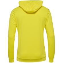 hummel Sport Hoodie hmlAUTHENTIC PL Hoodie (with zip pockets) yellow Men