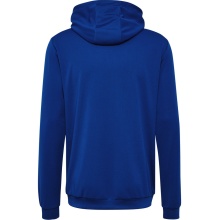 hummel Sport Hoodie hmlAUTHENTIC PL Hoodie (with zip pockets) navy blue Men