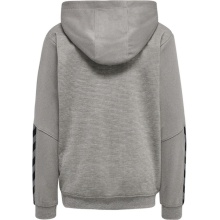 hummel Sport Hoodie hmlAUTHENTIC Poly Hoodie (knitted polyester) with hood grey Children