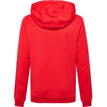 hummel Sport Hoodie hmlAUTHENTIC Poly Hoodie (knitted polyester) with hood red Children