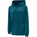 hummel Sport Hoodie hmlCORE XK Poly Sweat Hoodie (Polyester Sweat Fabric) with Hood in Coral Blue for Kids