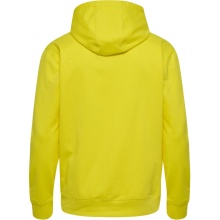 hummel Hoodie hmlGO 2.0 Full-Zip Hoodie (soft sweat fabric) yellow Men