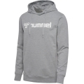 hummel Hoodie hmlGO 2.0 Logo Hoodie (soft sweat fabric) grey Men