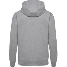 hummel Hoodie hmlGO 2.0 Logo Hoodie (soft sweat fabric) grey Men