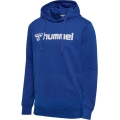 hummel Hoodie hmlGO 2.0 Logo Hoodie (soft sweat fabric) dark blue Men