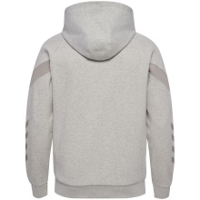 hummel Hoodie hmlTRAVEL Full-Zip Hoodie (soft sweat fabric) light grey Men