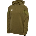 hummel Hoodie hmlTRAVEL Sweat Hoodie (soft sweat fabric) olive green Men