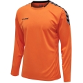 hummel Sport Long Sleeve Shirt hmlAUTHENTIC Poly Jersey (lightweight jersey fabric) orange Men