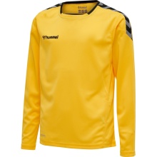 hummel Sport Long Sleeve Shirt hmlAUTHENTIC Poly Jersey (lightweight jersey fabric) yellow/black Kids