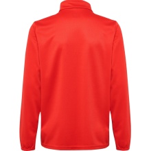 hummel Sport Long Sleeve Shirt hmlESSENTIAL Half-Zip (comfortable fit) red Kids