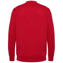 hummel Casual Sweatshirt hmlGO 2.0 Sweatshirt (soft sweat fabric) red Men