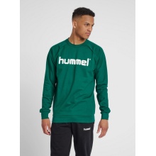 hummel Pullover Basic hmlGO Cotton Sweatshirt Big Logo (Cotton) dark green Men