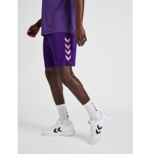 hummel Sports Shorts hmlCORE XK Poly Shorts (robust double knit, without side pockets) Short purple Men