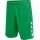 hummel Sports Shorts hmlCORE XK Poly Shorts (robust double knit, without side pockets) Short green Men