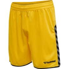 hummel Sports Shorts hmlAUTHENTIC Poly Shorts (light jersey fabric, without side pockets) short yellow/black Men