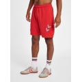 hummel Sports Shorts hmlLEAD Poly Shorts (Mesh Fabric) Short red Men