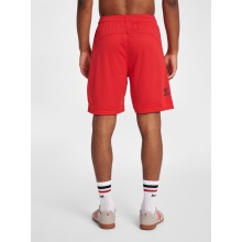 hummel Sports Shorts hmlLEAD Poly Shorts (Mesh Fabric) Short red Men