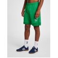 hummel Sports Shorts hmlLEAD Poly Shorts (Mesh Fabric) Short green Men