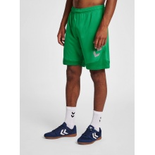 hummel Sports Shorts hmlLEAD Poly Shorts (Mesh Fabric) Short green Men