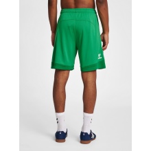 hummel Sports Shorts hmlLEAD Poly Shorts (Mesh Fabric) Short green Men