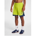 hummel Sports Shorts hmlLEAD Poly Shorts (Mesh Fabric) Short lime green Men