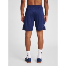 hummel Sports Shorts hmlLEAD Poly Shorts (Mesh Fabric) Short Navy Men