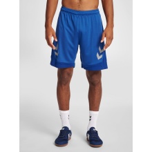 hummel Sports Shorts hmlLEAD Poly Shorts (Mesh Fabric) Short dark blue Men