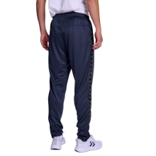 Hummel Sports Trousers hmlAUTHENTIC PL Pants (Interlock Fabric) Long Navy Blue Men