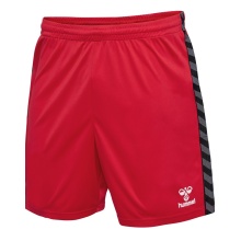 hummel Sports Shorts hmlAUTHENTIC PL Shorts (100% Polyester) short red Men