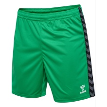 hummel Sports Shorts hmlAUTHENTIC PL Shorts (100% Polyester) short green Men