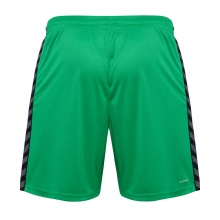 hummel Sports Shorts hmlAUTHENTIC PL Shorts (100% Polyester) short green Men