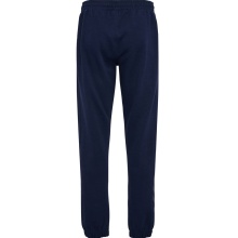 hummel Sports Trousers hmlTRAVEL Pants (soft sweat fabric) long navy blue Men