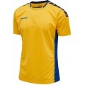 hummel Sport T-shirt hmlAUTHENTIC Poly Jersey (lightweight jersey fabric) Short sleeve yellow/blue Men