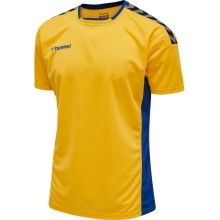 hummel Sport T-shirt hmlAUTHENTIC Poly Jersey (lightweight jersey fabric) Short sleeve yellow/blue Men